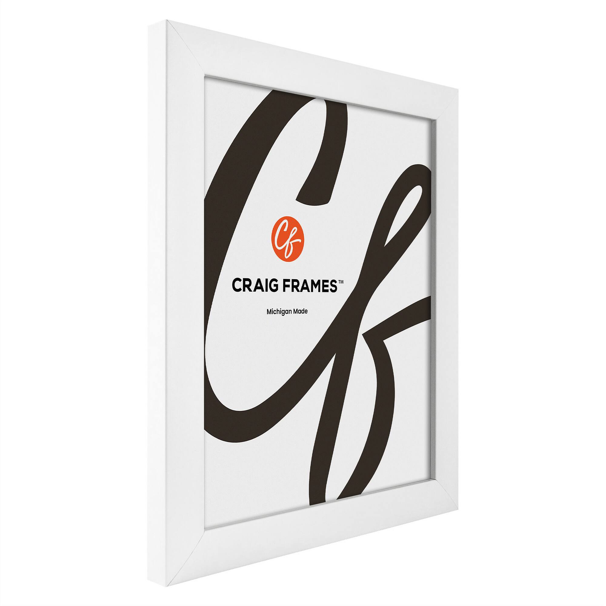 Craig Frames Contemporary White Satin Picture Frame with Mat
